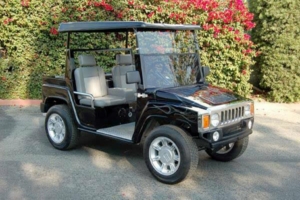 affordable golf cart rental, golf cart rent huntington